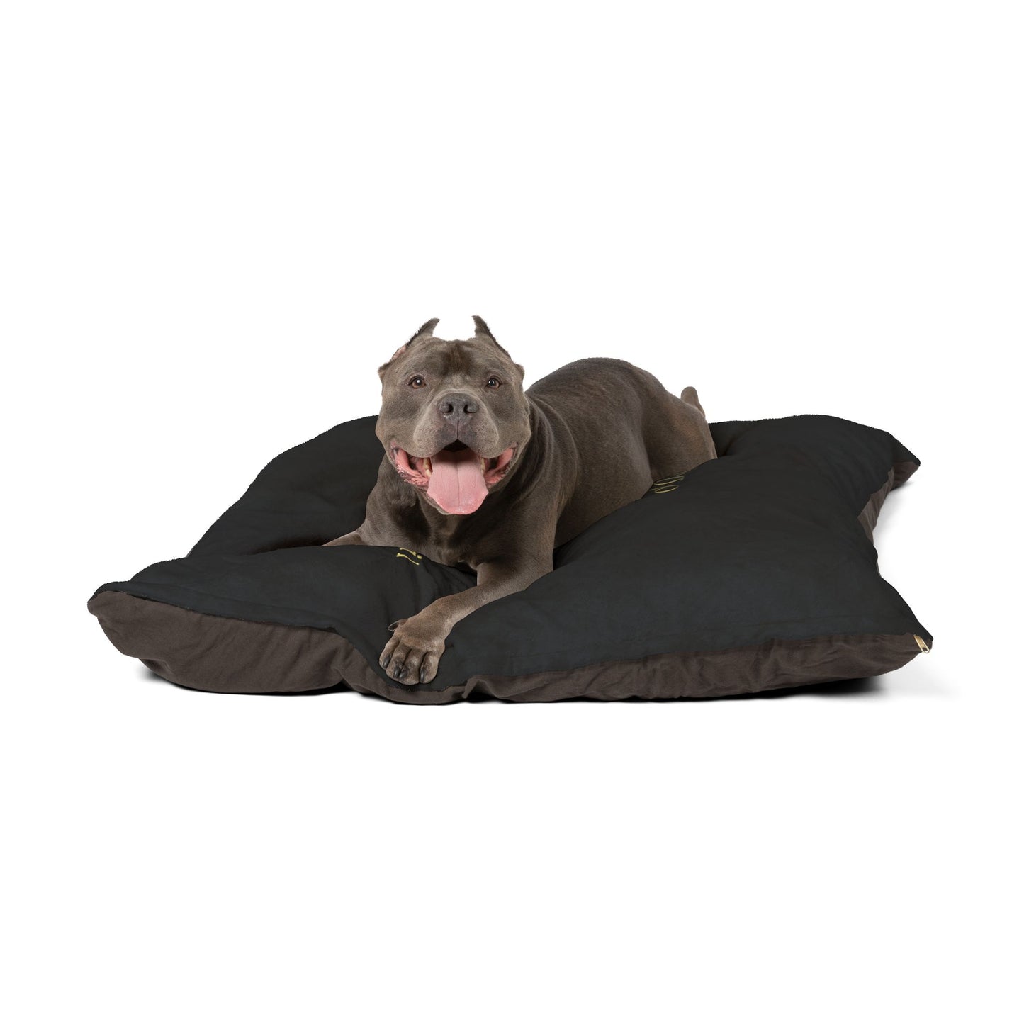 Personalized Pet Bed - "George the Dog" Plush Bed - inspired by Jillian Godsil's RUNNING OUT OF ROAD