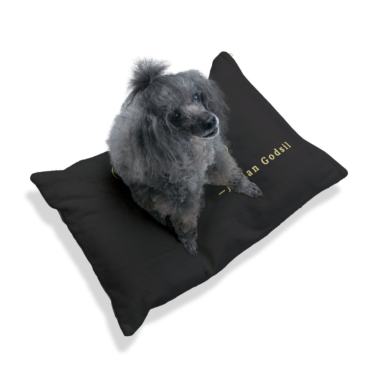 Personalized Pet Bed - "George the Dog" Plush Bed - inspired by Jillian Godsil's RUNNING OUT OF ROAD